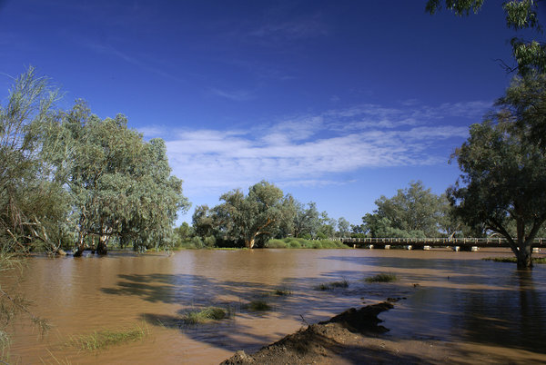Warrego in flood, Charleville