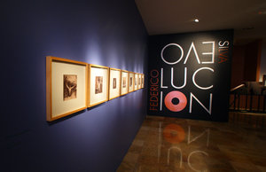 Gallery, San Luis Potosi