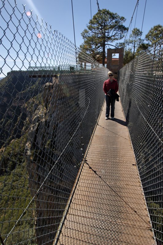 bridge, Copper Canyon