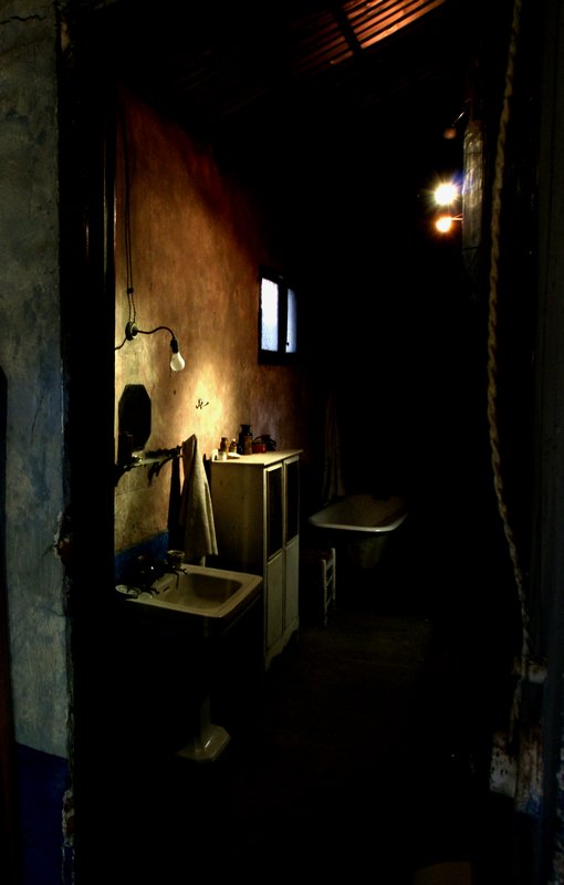 Bathroom, Trotsky's House