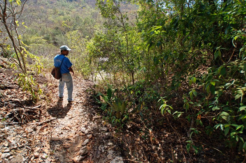 Felipe and the bush tracks, El Salvador