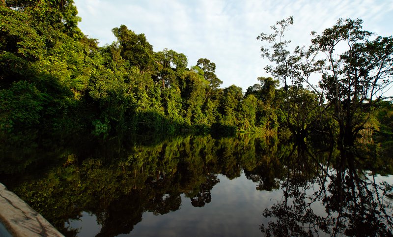 Rio Cuyabeno