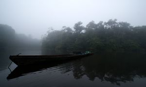 Morning in the Amazon