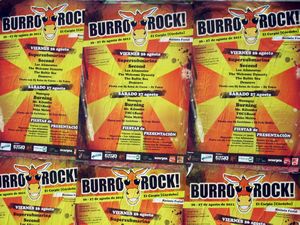 Burro rock