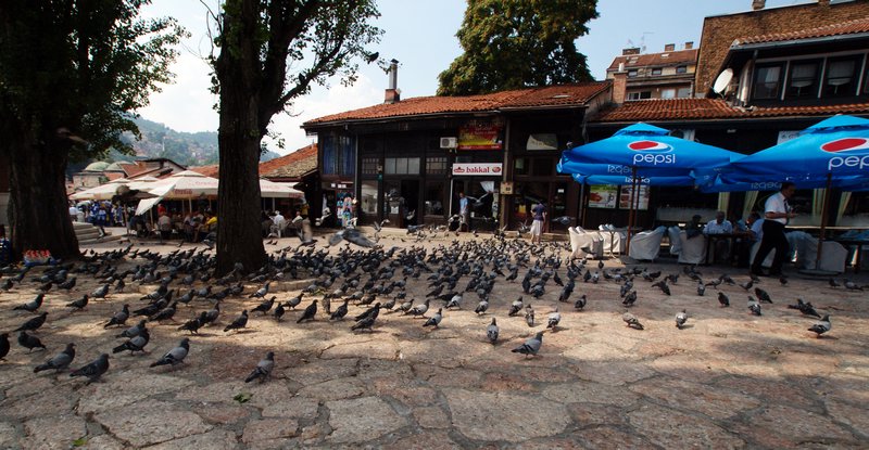 Square of Pigeon Death, Sarajevo