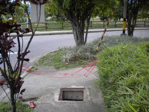 Sidewalk trap