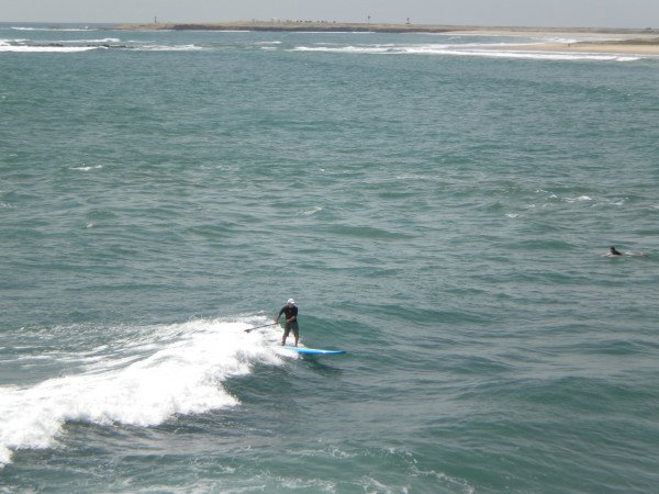Paddel board surfer.