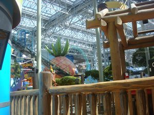 020. Mall of America. Amusement park