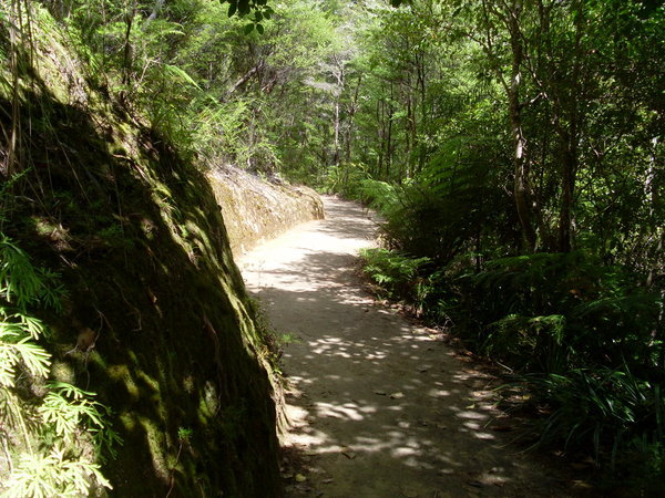 Hike path into Anchorage Bay