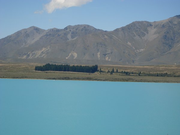 Lake Tekapo on the hike track from Mount John