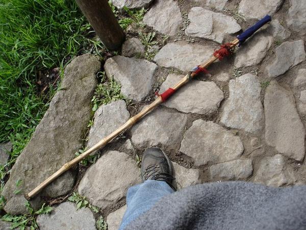 My walking stick