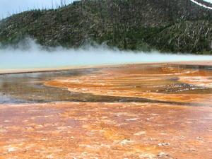 Geothermal delight