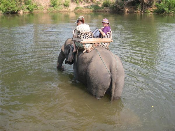 elephant in Tadlo