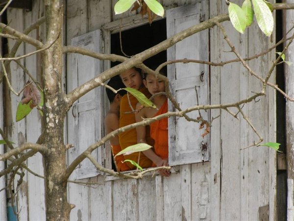 Monks Luang pabang