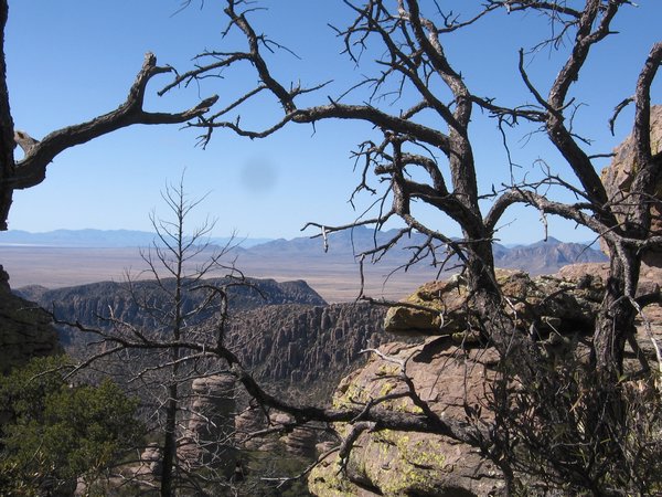 Amazing trail views