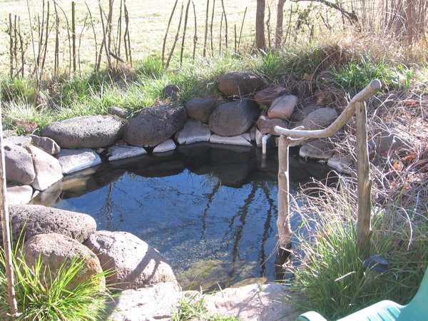 Lodge's hot spring pool 