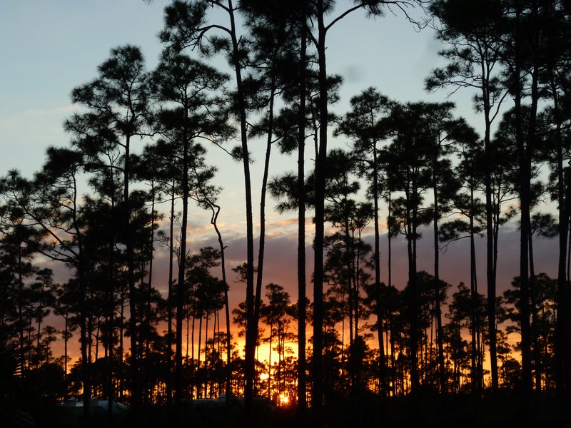 sunset at Long Pine Key campground