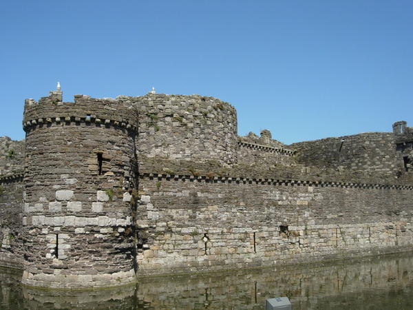 The moat