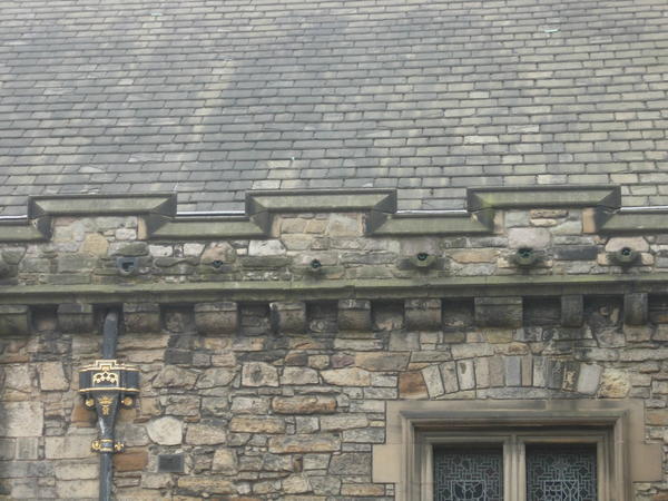 Roofline of the Great Hall