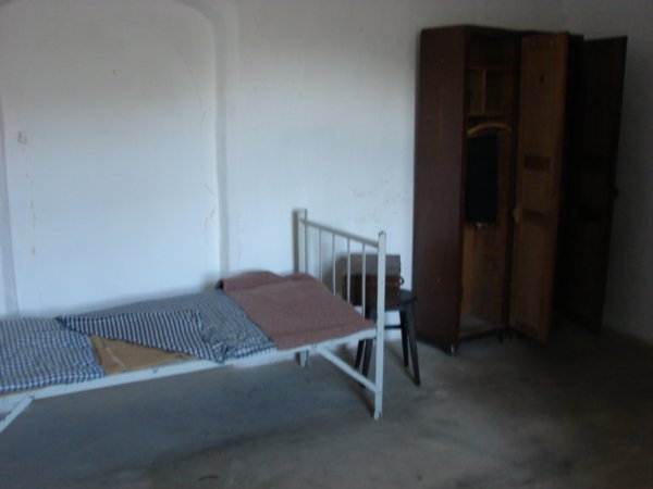 One of the Cells