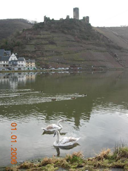 Where we had stopped was normally the entrance ramp for a local four car ferry across the Mosel.