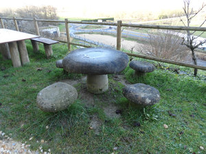 Mushroom Seats for Mushroom Shoppers