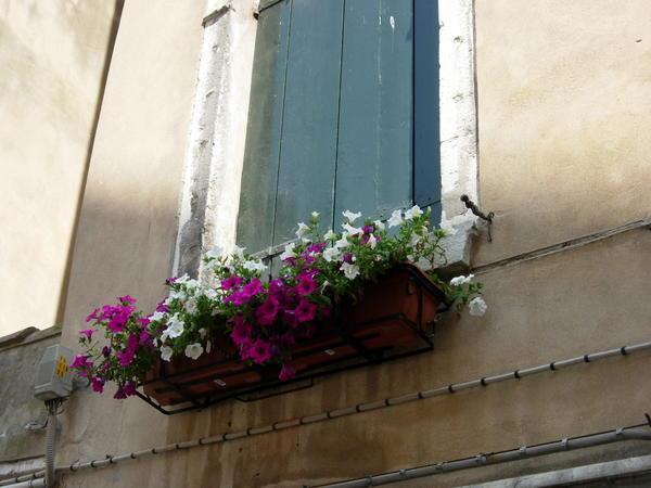 Venetian window display