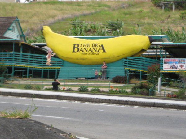 The Big Banana 7