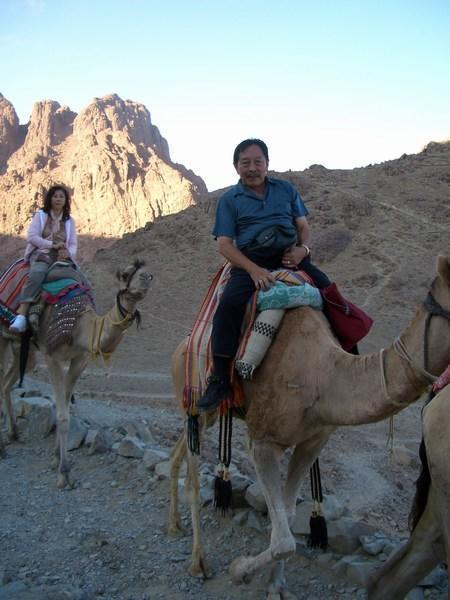 Pengalaman saya menumpak unta / My experience riding a camel