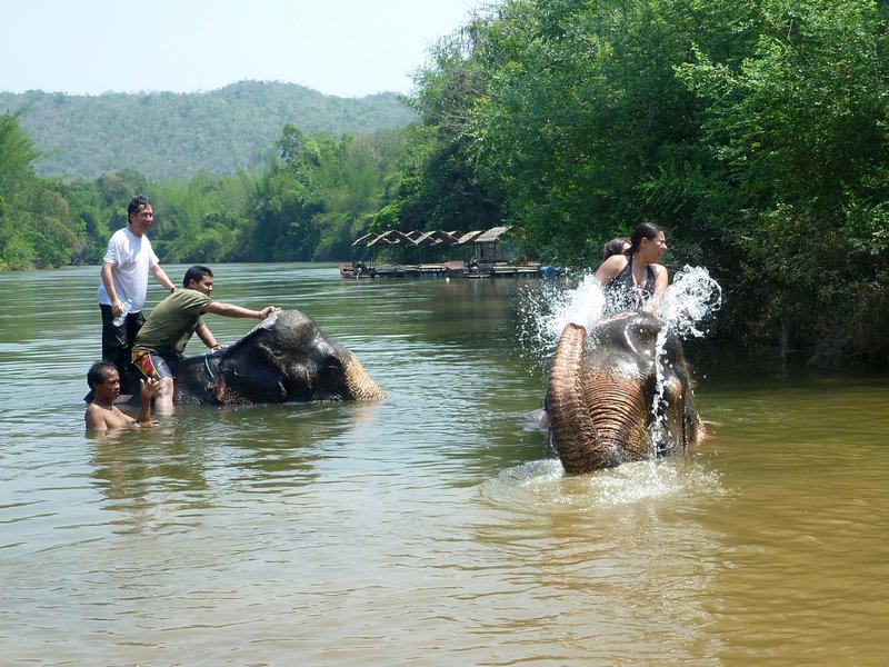 Elefantes en el rio Kwai