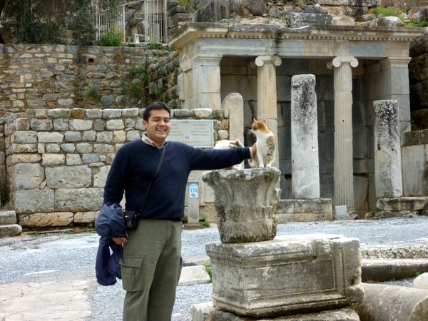 El gato en Efeso