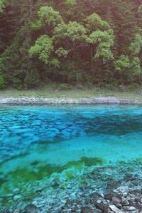 Five coloured lake, Jiuzhaigou National Park