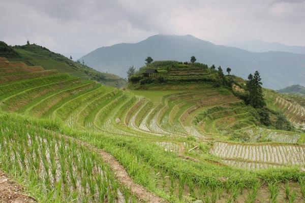 Terraces near Pingan