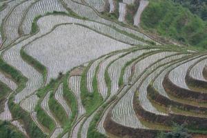 Terraces near Pingan