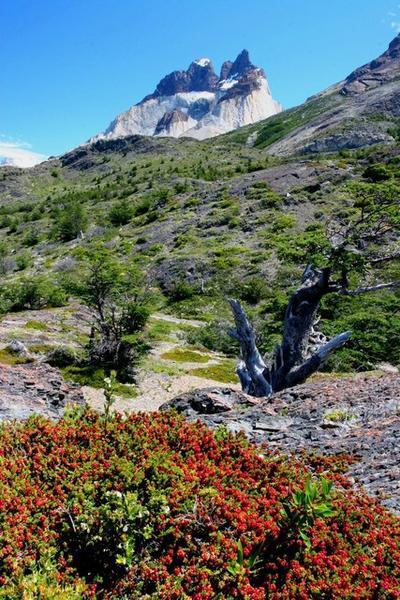 Cuernos del Paine (2600m)
