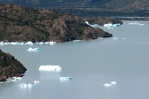 Icebergs, Lago Grey