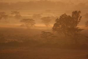 Dawn below Mt Kenya