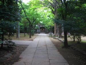 Main walk - Akasaka