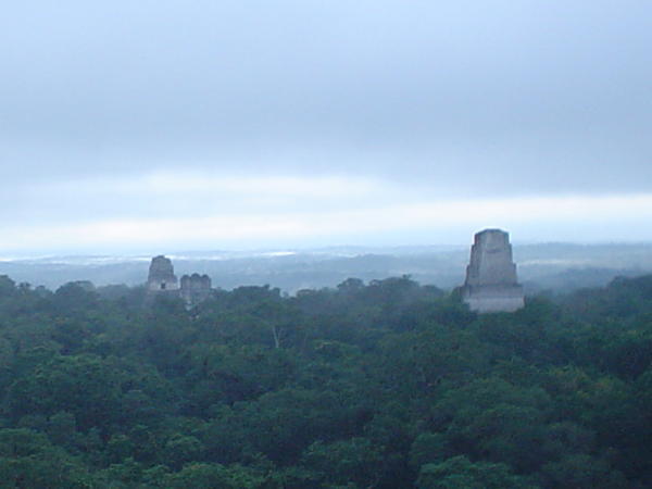 The waking up of Tikal from the top of a temple