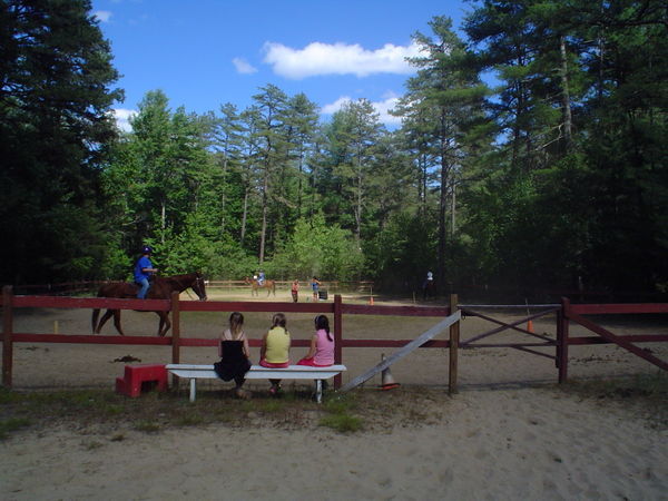 The Riding Arena