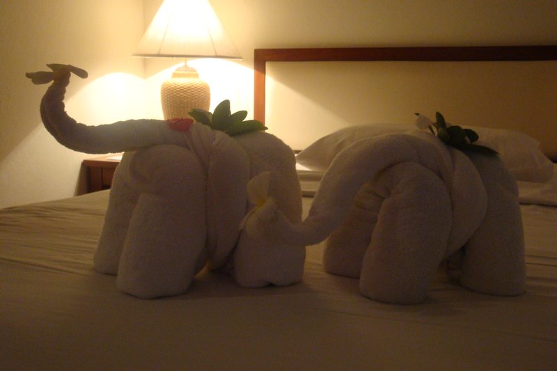 Elephant towels!