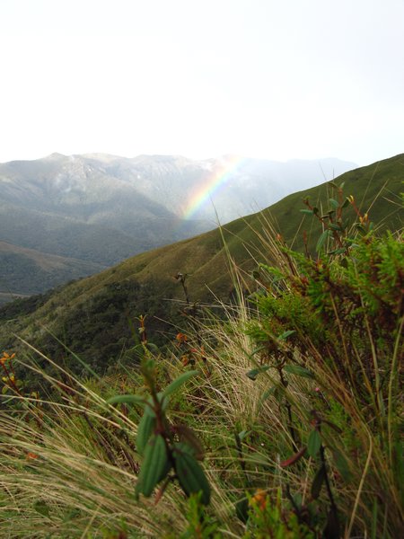 Peruvian rainbow