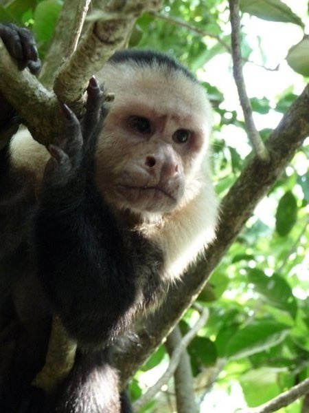 Parque Nacional Manuel Antonio