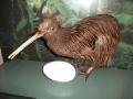 The closest we've gotten to a Kiwi