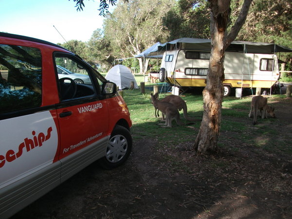 Our van and some guests