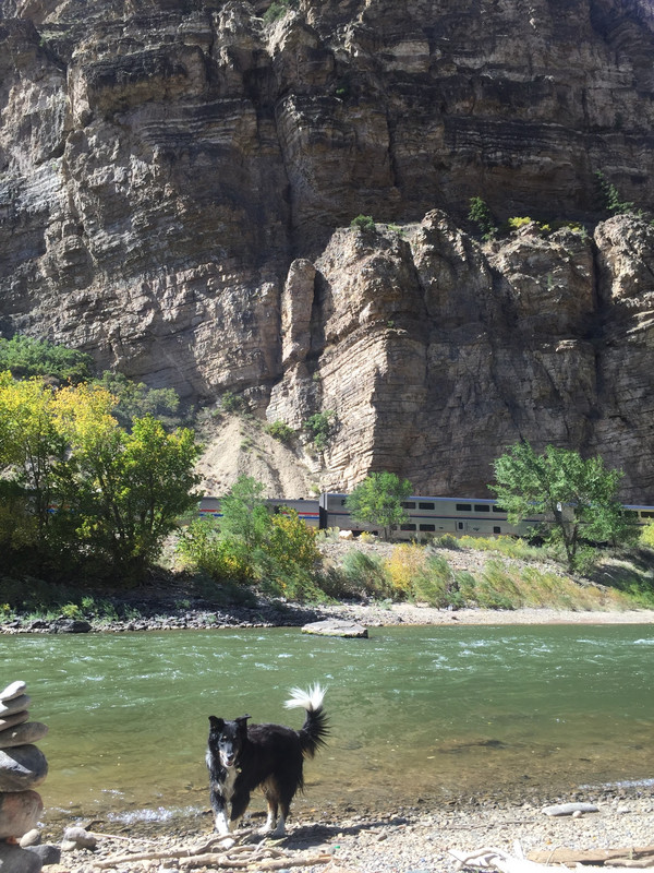 Mika enjoying the Colorado River.