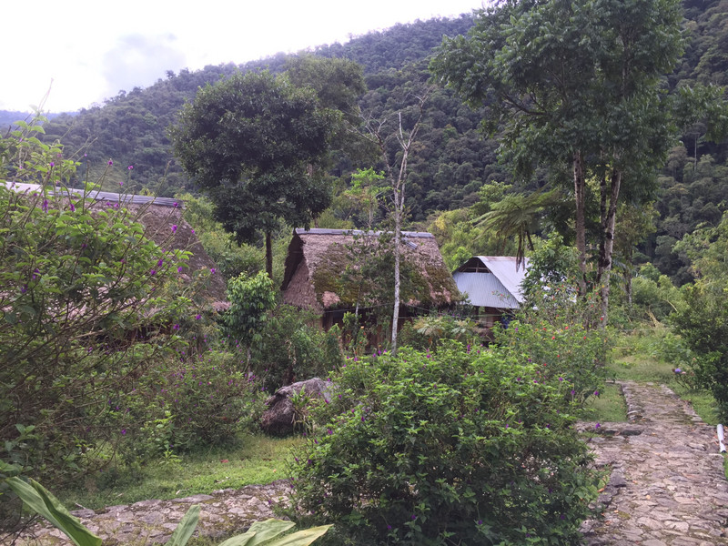 Our cloud forest lodge. 