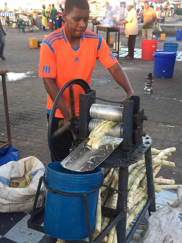 Making sugar cane juice with a hand press.