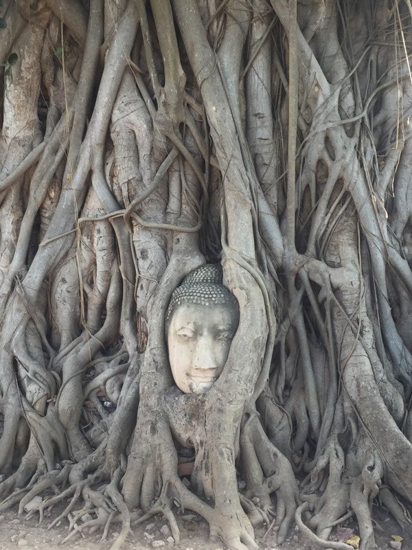 Hidden buddha head