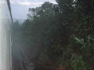 Jungle Railway 
